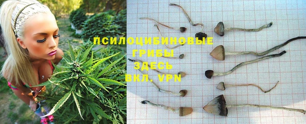 гашиш Аркадак