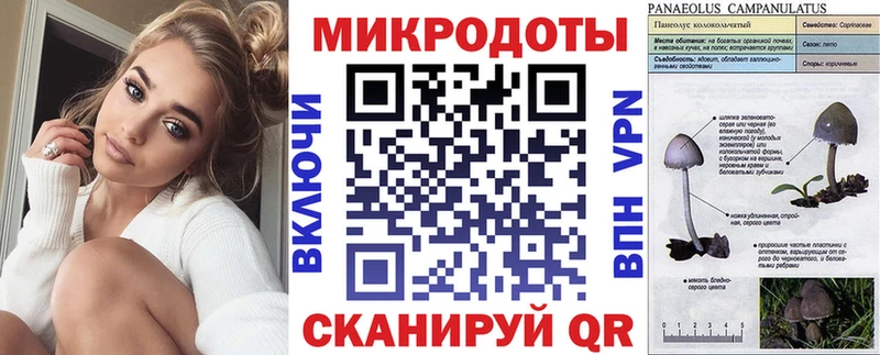 Галлюциногенные грибы Psilocybine cubensis  Бахчисарай 